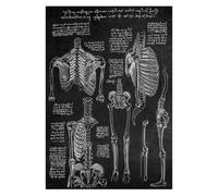 Supkancl Structure Anatomique Humaine Moderne schéma schématique organe médical Musculaire squelettique Tableau Mural Anatomie du Corps Entier Affiche(9,15x20cm No Frame)
