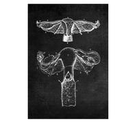 Supkancl Structure Anatomique Humaine Moderne schéma schématique organe médical Musculaire squelettique Tableau Mural Anatomie du Corps Entier Affiche(13,10x15cm No Frame)