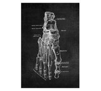 Supkancl Structure Anatomique Humaine Moderne schéma schématique organe médical Musculaire squelettique Tableau Mural Anatomie du Corps Entier Affiche(3,20x24cm No Frame)
