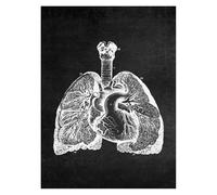 Supkancl Structure Anatomique Humaine Moderne schéma schématique organe médical Musculaire squelettique Tableau Mural Anatomie du Corps Entier Affiche(10,21x30cm No Frame)