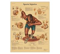 Supkancl Système de Muscles l'anatomie Humaine Affiche en Papier Kraft Art Mural Carte du Corps Images murales for la décoration Clinique d'éducation médicale(10)