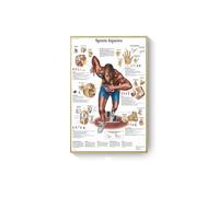 Supkancl Système des Muscles d'anatomie Humaine Affiche Impression de Cartes Body Tolevas Pictures murales for l'enseignement médical Décor(I,40x60cm No Frame)