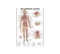 Supkancl Système digestif Print Poster Anatomy Human Musculaire Brain Canvas Peinture Art Mur Pictures for l'enseignement médical Décor de Maison(6,20x25cm No Frame)