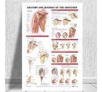 Supkancl Tableau Anatomique Anatomie du Corps Humain Affiche d'art médical Toile Peinture Mur Photo for la décoration intérieure Affiches et Impressions(0016,20x30 inch Unframed)