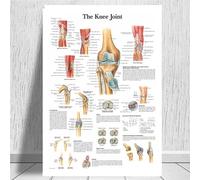 Supkancl Tableau Anatomique Anatomie du Corps Humain Affiche d'art médical Toile Peinture Mur Photo for la décoration intérieure Affiches et Impressions(0005,21x30 CM Unframed)