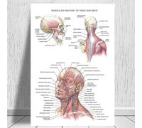 Supkancl Tableau Anatomique Anatomie du Corps Humain Affiche d'art médical Toile Peinture Mur Photo for la décoration intérieure Affiches et Impressions(0010,20x30 inch Unframed)
