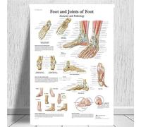 Supkancl Tableau Anatomique Anatomie du Corps Humain Affiche d'art médical Toile Peinture Mur Photo for la décoration intérieure Affiches et Impressions(0007,25x30 CM Unframed)
