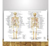 Supkancl Tableau Anatomique Anatomie du Corps Humain Affiche d'art médical Toile Peinture Mur Photo for la décoration intérieure Affiches et Impressions(0017,18x24 inch Unframed)