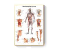 Supkancl Tableau de pathologie Anatomie Maladies Affiches et Impressions Toile Art Peinture Mur Photos for Salon décoration décor à la Maison(D,13X18cm No Frame)