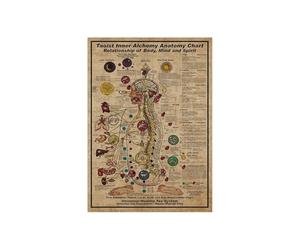 Supkancl Taoïste Lnner alchimie Anatomie Affiches Tableau Relation du Corps Esprit et Toile Peinture Mur Art Imprime Chambre décor à la Maison(20x25cm No Frame)