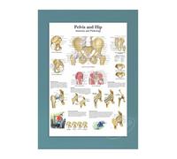 Supkancl Toile Affiche Moderne décor à la Maison Maladies de l'oeil Impression Peinture Mur Art éducation médicale Image modulaire for Salon(13,45x60cm No Frame)