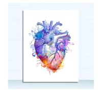 Supkancl Toile Peinture Nordique Affiches Et Gravures Mur Photos Médecins Bureau Décor Coloré Anatomie Cerveau Coeur Rein Sein Art(4,20x25cm No Frame)