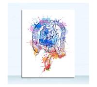 Supkancl Toile Peinture Nordique Affiches Et Gravures Mur Photos Médecins Bureau Décor Coloré Anatomie Cerveau Coeur Rein Sein Art(7,20x25cm No Frame)