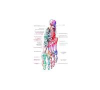 Supkancl Toile Peinture Pied os Anatomie Affiche podologie Art médecine Toile Impression Mur Maison Chambre décor esthétique(1,A4 21x30cm No Frame)