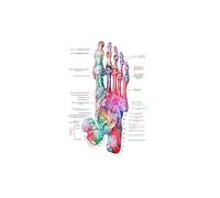 Supkancl Toile Peinture Pied os Anatomie Affiche podologie Art médecine Toile Impression Mur Maison Chambre décor esthétique(3,A4 21x30cm No Frame)