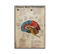 Supkancl Traitement cérébral traumatique Affiche Verticale Anatomie du Cerveau Art Mural Thérapeute Psychologue Instruction Décoration Murale(30X40CM No Frame)