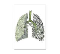 Supkancl Vert Abstrait médecine Anatomie Coeur poumon Oeil Nordique Affiches et Impressions Mur Art Toile Peinture Photos for décor de Clinique(B,30X40 cm Unframed)