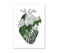 Supkancl Vert Abstrait médecine Anatomie Coeur poumon Oeil Nordique Affiches et Impressions Mur Art Toile Peinture Photos for décor de Clinique(A,30X40 cm Unframed)