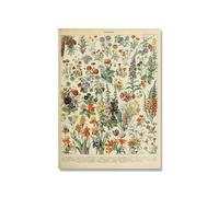 Supkancl Vintage Adolphe Millot Encyclopédie Affiches Champignons Botaniques Herbes Fleurs Insecte Classique Toile Peintures Stickers Muraux(Picture 4,A3 30x42cm No Frame)