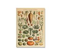 Supkancl Vintage Adolphe Millot Encyclopédie Affiches Champignons Botaniques Herbes Fleurs Insecte Classique Toile Peintures Stickers Muraux(Picture 7,20x25cm No Frame)