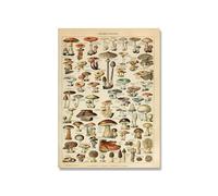 Supkancl Vintage Adolphe Millot Encyclopédie Affiches Champignons Botaniques Herbes Fleurs Insecte Classique Toile Peintures Stickers Muraux(Picture 1,15x20cm No Frame)