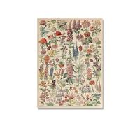 Supkancl Vintage Adolphe Millot Encyclopédie Affiches Champignons Botaniques Herbes Fleurs Insecte Classique Toile Peintures Stickers Muraux(Picture 5,13x18cm No Frame)