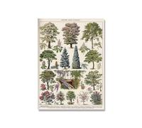 Supkancl Vintage Adolphe Millot Encyclopédie Affiches Champignons Botaniques Herbes Fleurs Insecte Classique Toile Peintures Stickers Muraux(Picture3,A3 30x42cm No Frame)