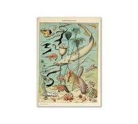 Supkancl Vintage Palaeobios botanique rétro Affiche Insecte Papillon Champignons Toile Peinture à l'huile Mur Art Imprime Photo décor la Maison(15,20x25cm No Frame)