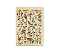 Supkancl Vintage Palaeobios botanique rétro Affiche Insecte Papillon Champignons Toile Peinture à l'huile Mur Art Imprime Photo décor la Maison(03,21x30cm No Frame)