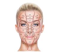 Supkancl Visage Corps Anatomie veines Musculaires détaillé Science ÉDUCATIVE Affiche Mur Art Photos Toile Peinture hôpital Clinique Salon décor(6,30X40cm Unframed)