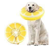SuplutuX Collier élisabéthain gonflable pour chiens et chats pour ne pas se gratter après la chirurgie pour guérir les blessures et éviter les morsures (XL)