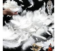 SUpoetry 200 Pièces Plumes Blanches, Plumes Blanc pour Bricolage, Plumes Loisirs Creatifs 8-11cm, Plume Blanches Décoration pour DIY Dreamcatcher, Noël, Anniversaire, Fête de Mariage