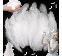 SUpoetry Lot de 200 Plumes Décoratives de Faisan, Plumes Blanc pour Bricolage, Plumes Loisirs Creatifs 8-11cm, Plume Blanches Décoration pour DIY Dreamcatcher, Noël, Anniversaire, Fête de Mariage