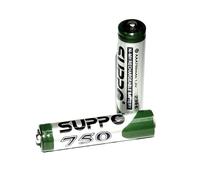 Suppo Lot de 2 batteries rechargeables 750 mAh pour combinés Gigaset et tous les autres combinés DECT