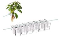 Support - 6 Pack Clips Hydroponiques Suspendus | Crochet Plantation Aquatique PC Transparent, Culture Aquarium | Décoration Bassin pour Maison Croissance Aquaponique Écosystème Végétal Utilisé