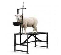 Support à chèvres robuste 181 kg avec bac à nourriture