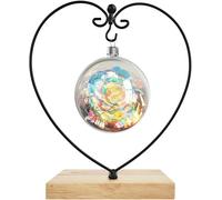 Support À Plante Suspendue Bois En Fer Pour Suspendre Un Terrarium En Verre,Globe,Ornement De Noël Et Décoration De Mariage À La Maison(Coeur Carré)