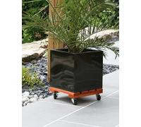 Support à roulettes bois carré ""Flora Roll Lasure""- 30 x 30 cm