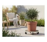 Nortene Support à roulettes Floral Roll Strong Bois 50 cm Universel