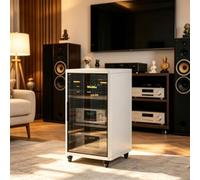 Support Audio Moderne avec Étagères Réglables pour Équipement Stéréo | Support audio, Meuble média, Support stéréo, Cinéma maison(White,23.6x23.6x48.8in)