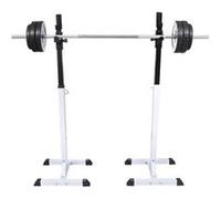 Support Barres Haltères Longs Musculation Sport Salle de Gym Maison vidaXL