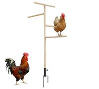 Support Chick Perch - Support pour oiseaux - Jouet en plein air pour volaille - Style branche - Pour poules, tourtereaux, poules, cacados, dindes, pour l'équilibre, le mouvement et l'entraînement