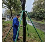 Support d'arbre pour jeunes arbres, support anti-renversement avec poteau de soutien - Permet aux arbres de pousser debout dans les cours ou les rues