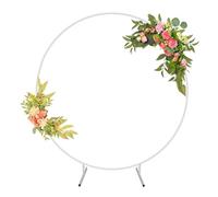 Support d'arche de ballons en métal pour mariages et fêtes, cadre de toile de fond circulaire robuste avec deux poches d'eau, construction en acier résistant à la rouille