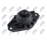 Support de bague d'amortisseur des deux côtés du pont arrière AD-NS-008 NTY