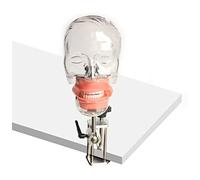 Support De Banc De Modèle De Tête Fantôme De Simulateur Dentaire pour Le Modèle D'enseignement De Dentiste, Tête Dentaire, Modèle De Tête D'unité De Simulateur Dentaire