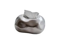 Support de boîte à mouchoirs en forme de nuage abstrait, couverture de galets irrégulière for décoration d'intérieur minimaliste(Silver)