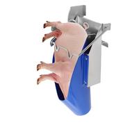 Support de castration, dispositif de castration pour porc (petit) | Acier inoxydable 304, utilisation d'une personne, pour porcelets de 7 à 8 jours et injections, stable et efficace