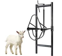 Support de cisaillement pour moutons, fournitures d'élevage portable avec hauteur réglable, licol de mouton et support de traite pour la ferme et la maison