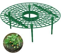 Support de culture pour fraises Support pratique pour fraises Support pour plantes grimpantes Vigne